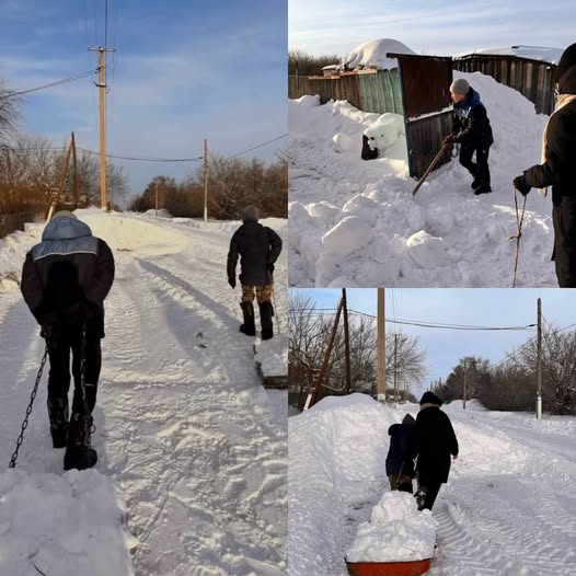 Қоғамға қызмет ету – жүректен шыққан жақсылық